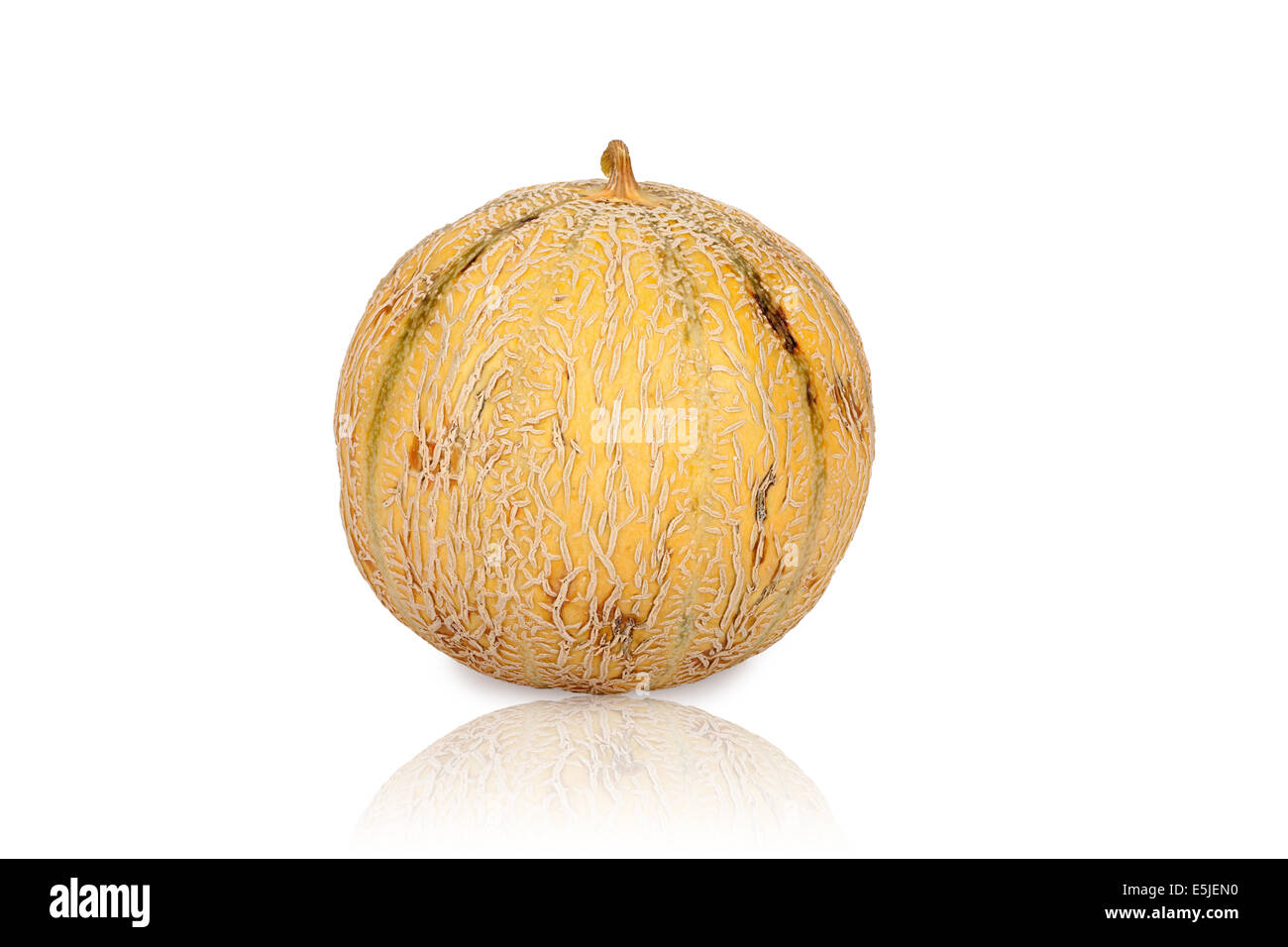 One Galia Melon Charentais isolated and mirrored on white Background