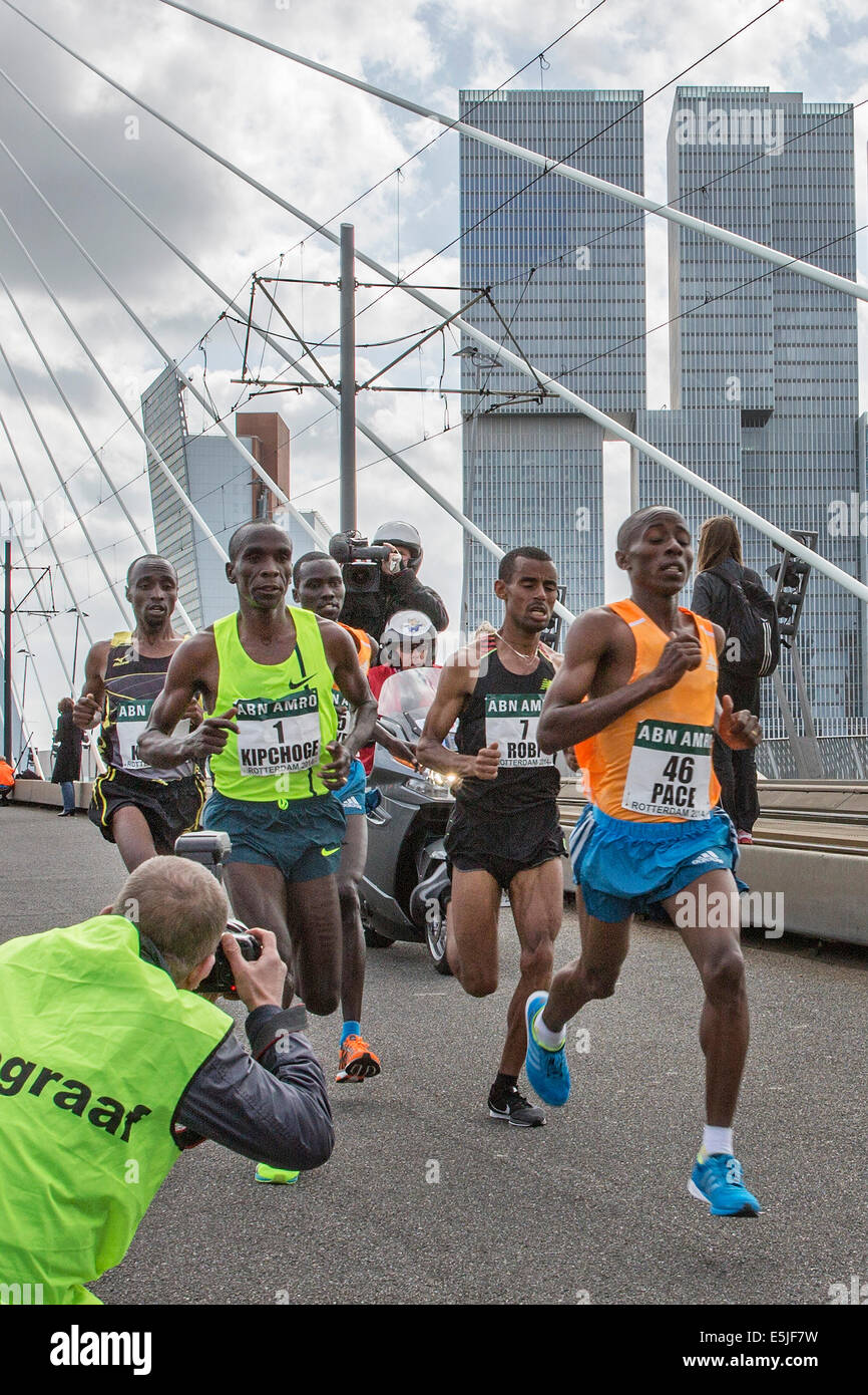 Netherlands, Rotterdam, ABN-AMRO Marathon 2014. Runners on Erasmus bridge/. Photographer Frans Lemmens. Stock Photo