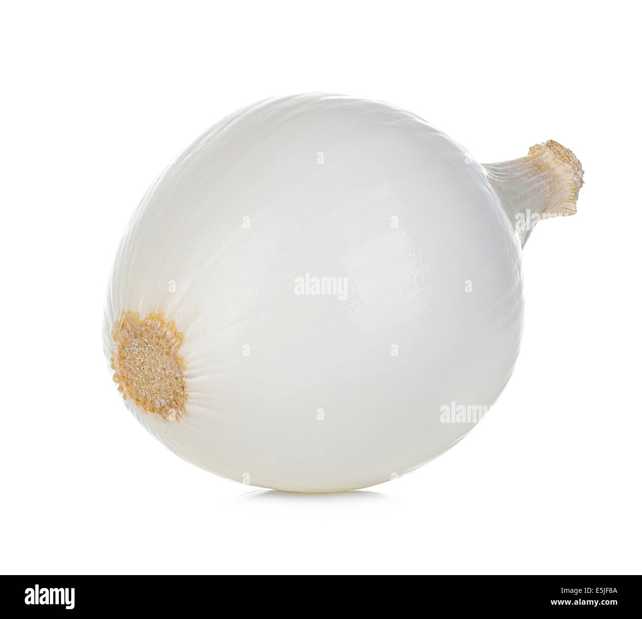 onion isolated on white background Stock Photo - Alamy