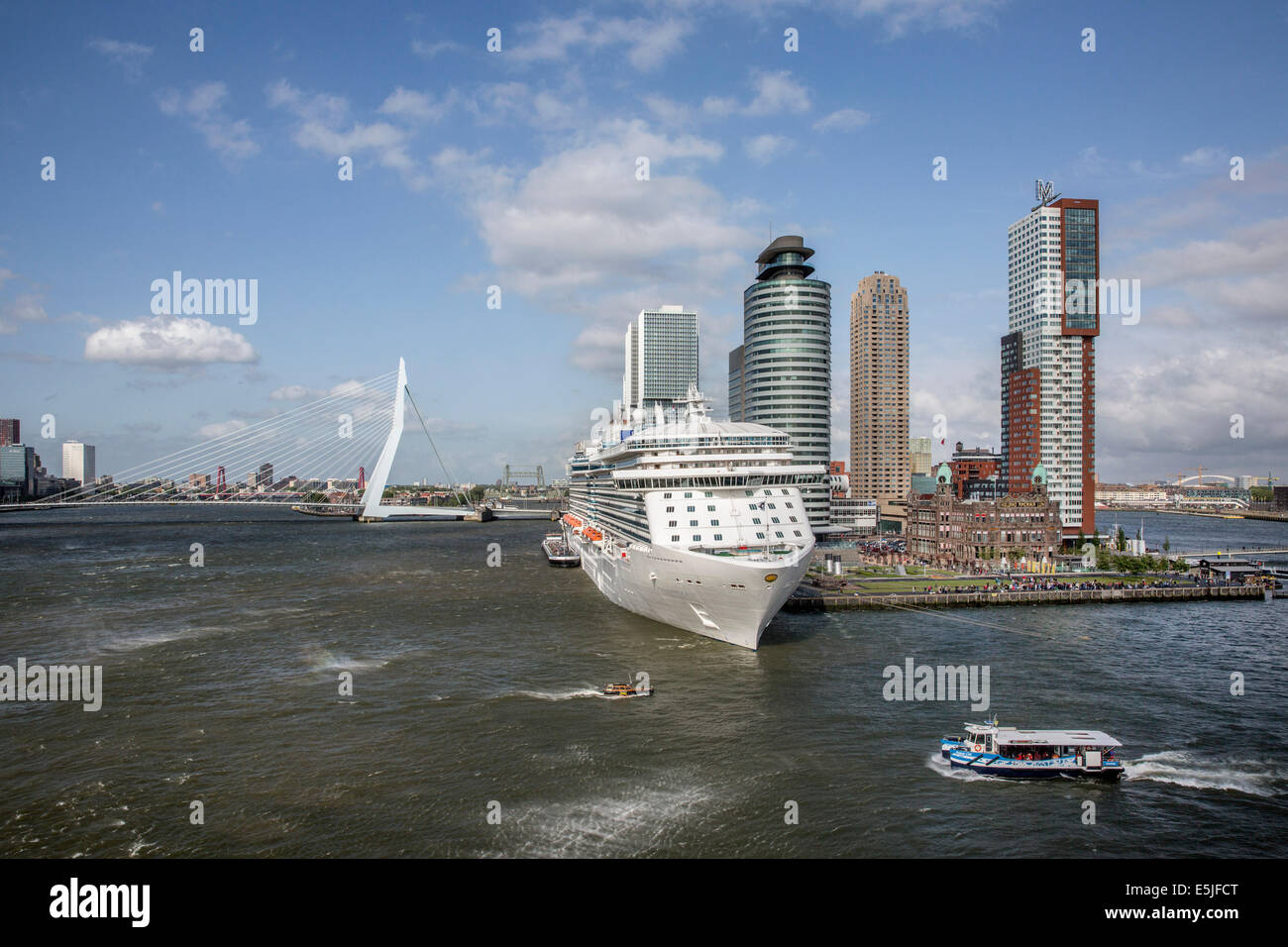 Netherlands, Rotterdam, Kop van Zuid District. Cruise ship Ocean Princess. Hotel New York, Holland America Line. Erasmus bridge Stock Photo