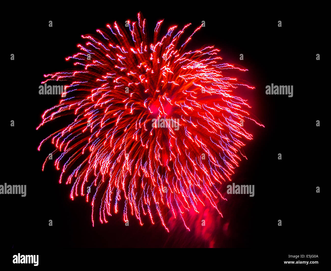Chrysanthemum firework hires stock photography and images Alamy