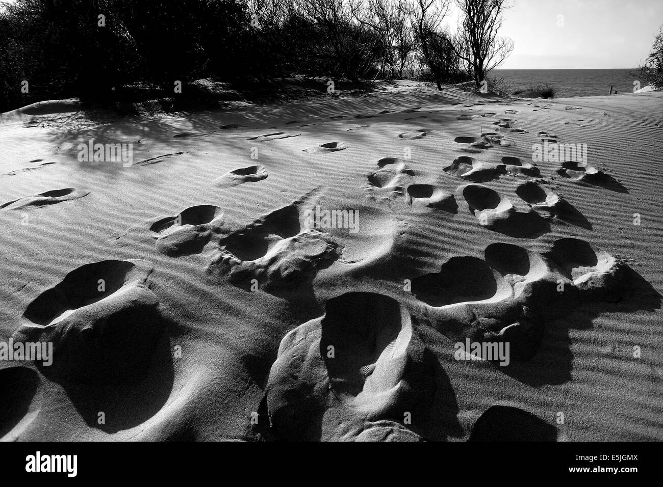 Footsteps in the sand Stock Photo