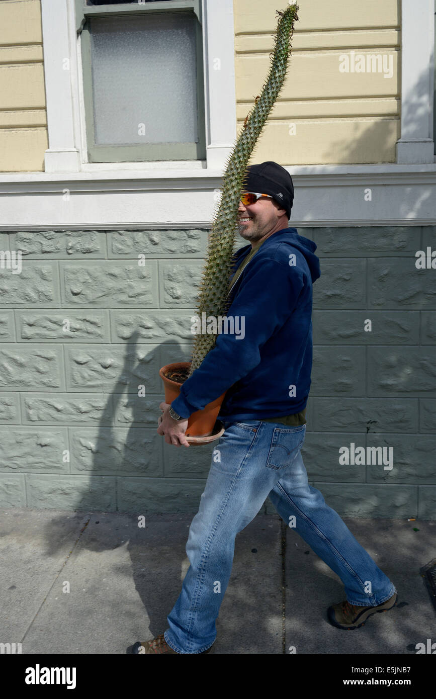 man carrying cactus san francisco Stock Photo