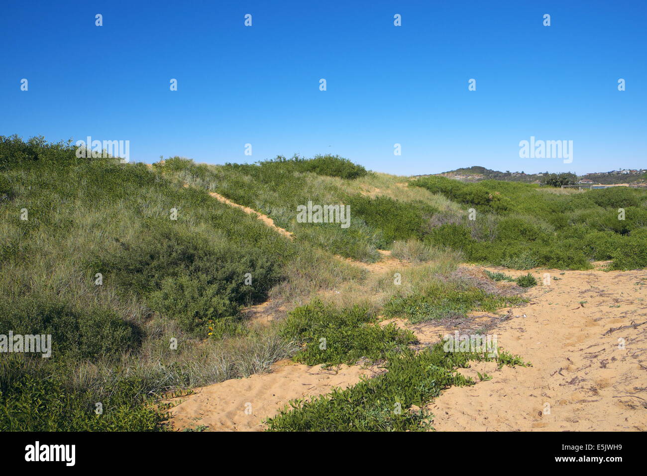 Sand dunes mona vale beach hires stock photography and images Alamy