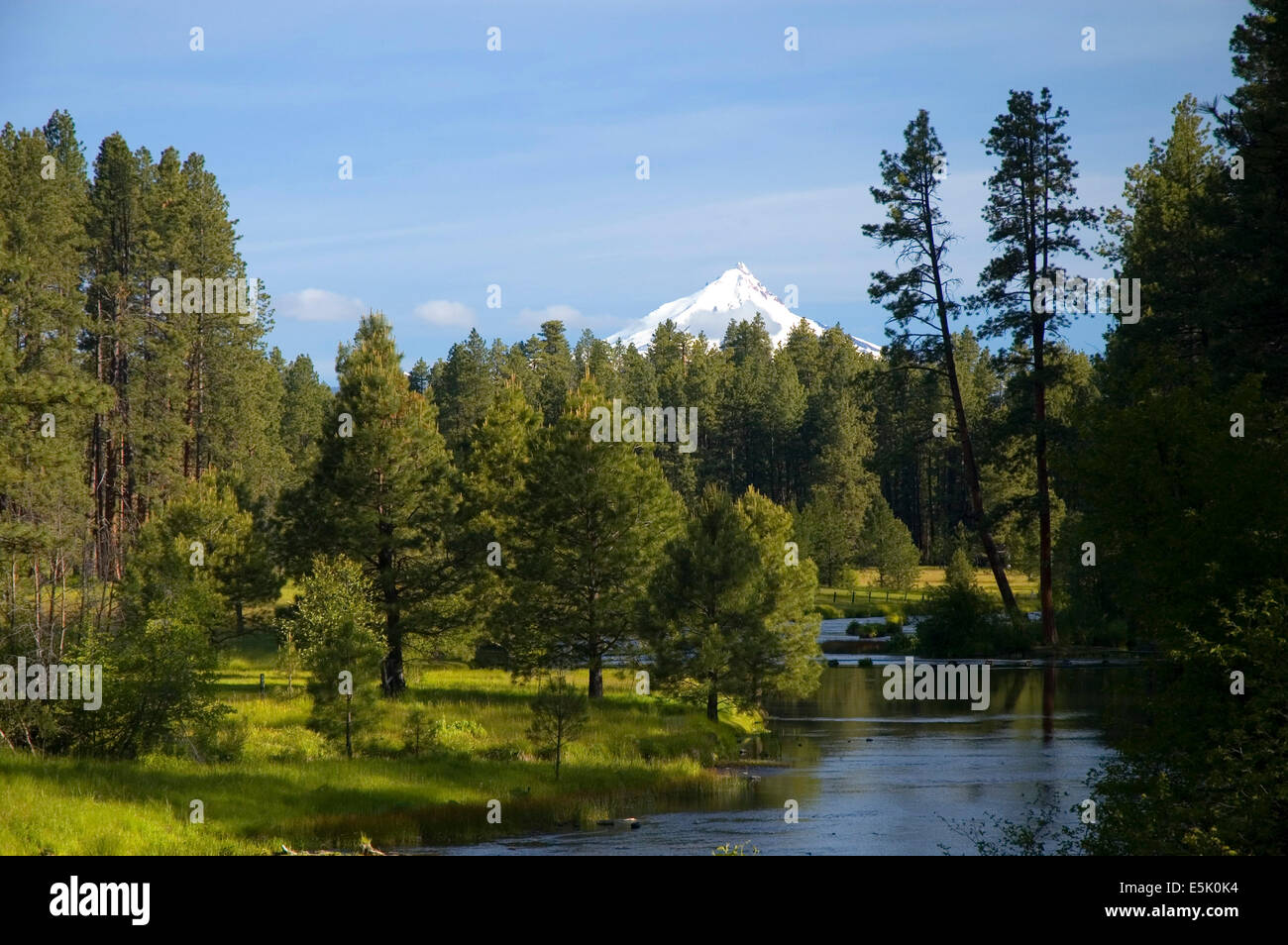 Headwaters of the Metolius, Metolius Wild & Scenic River,  Deschutes National Forest, Oregon Stock Photo