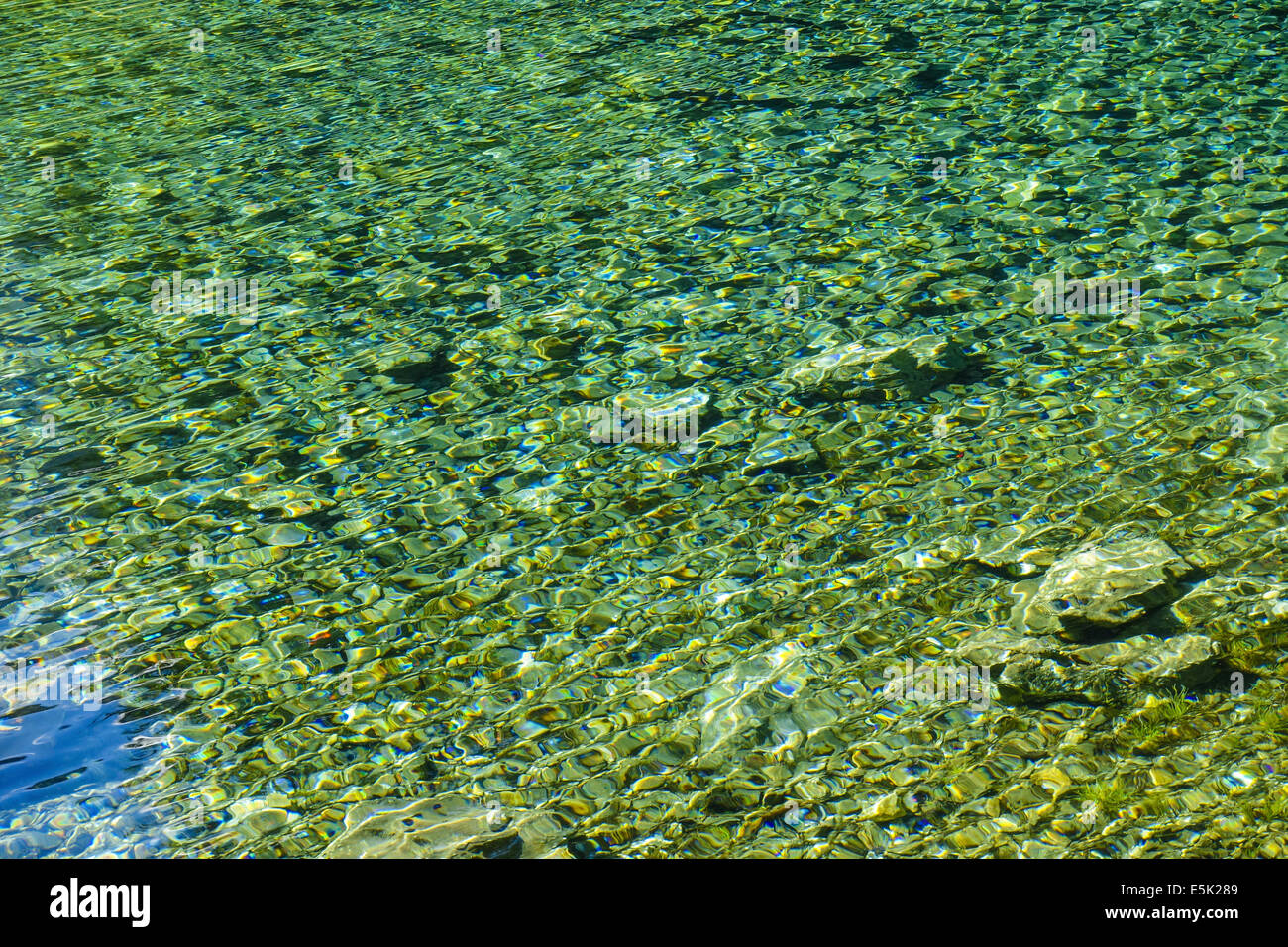 Tragoess, green lake, Gruener See Stock Photo