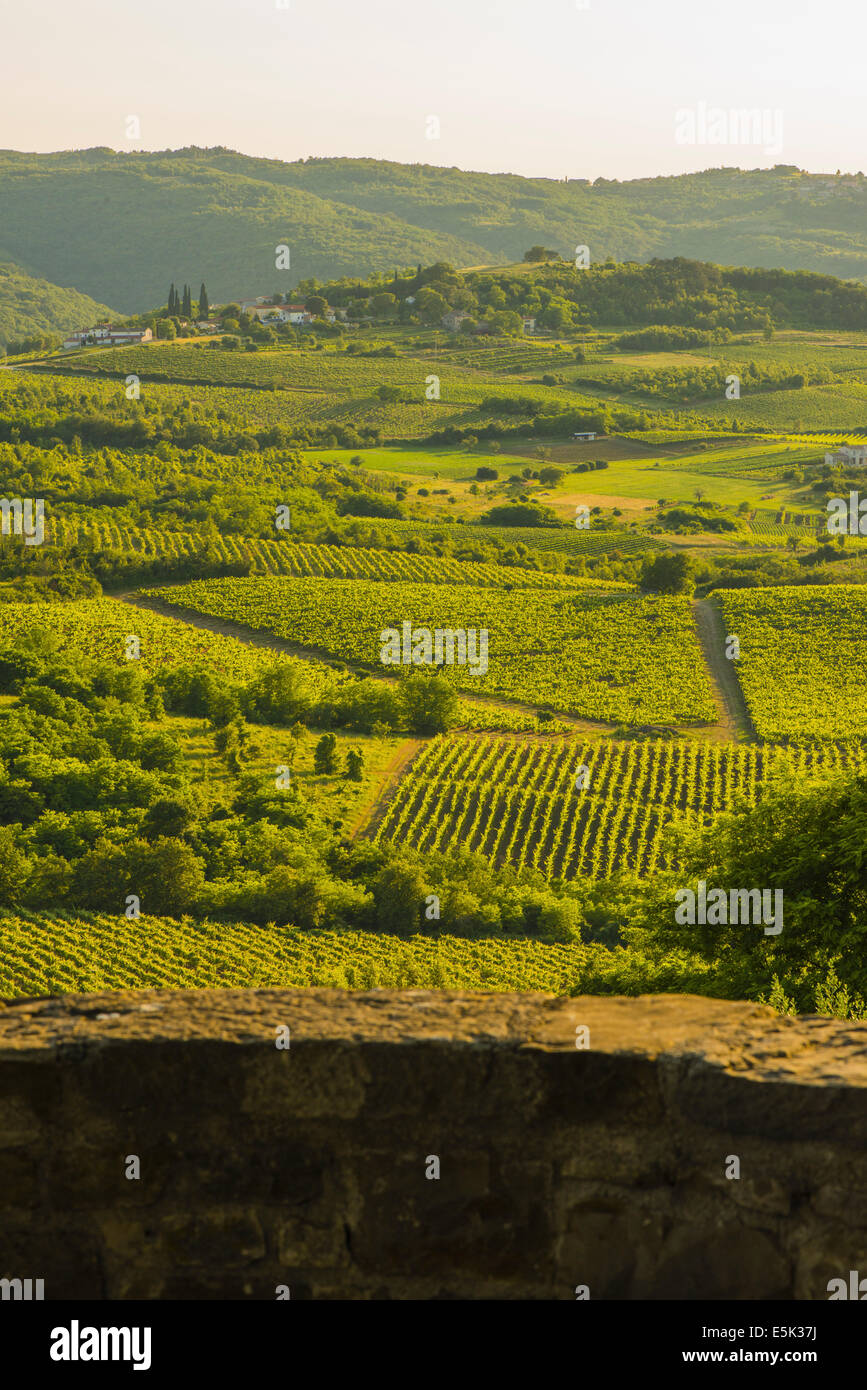 Motovun Istria Croatia Stock Photo - Alamy