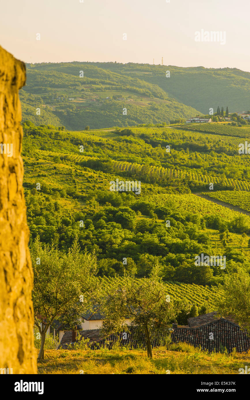 Motovun Istria Croatia Stock Photo - Alamy