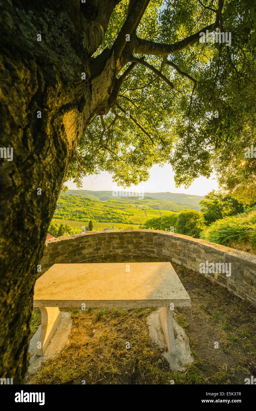 Motovun Istria Croatia Stock Photo - Alamy
