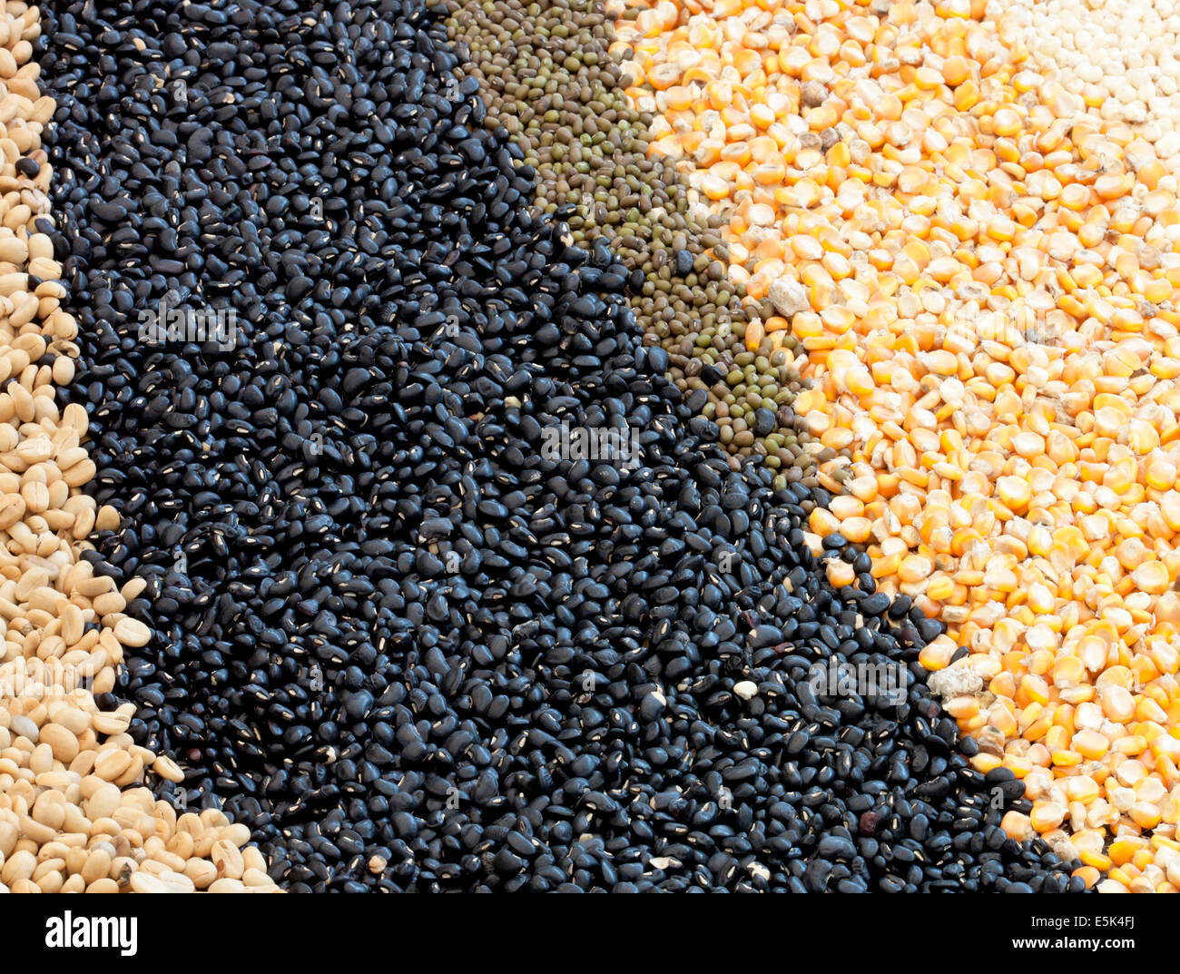 Corn, green beans, red kidney beans legumes on background Stock Photo