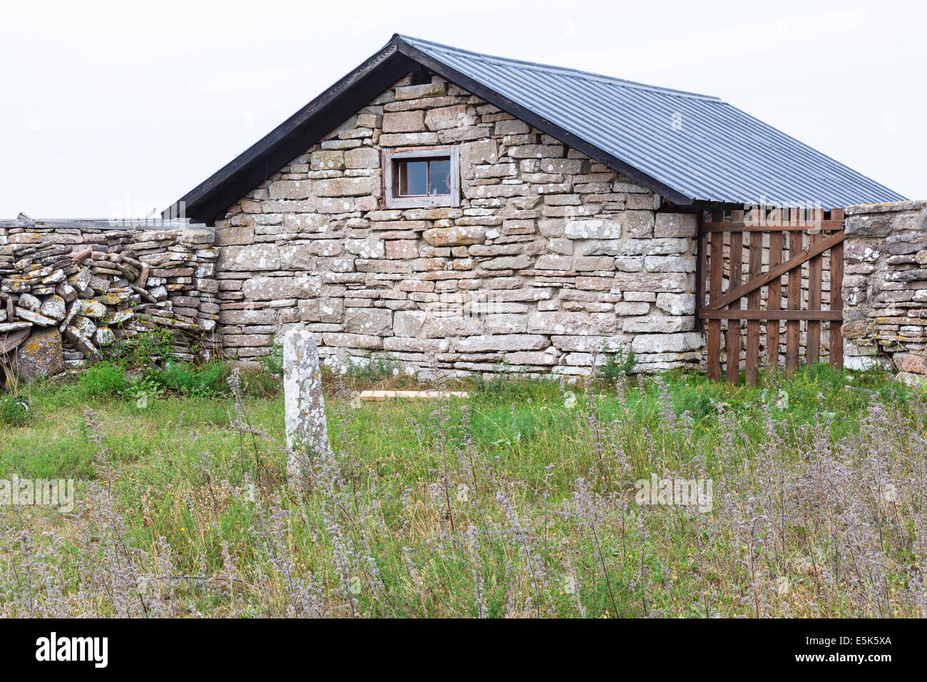Garden with withered flowers and an old stone house Stock Photo - Alamy