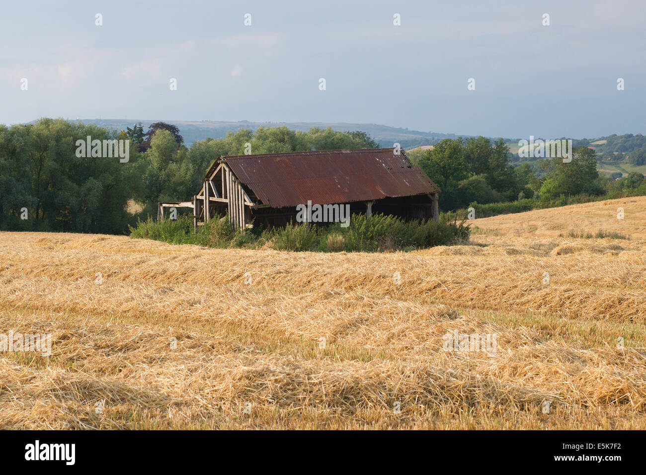 An old barn in a harvested field. Stock Photo