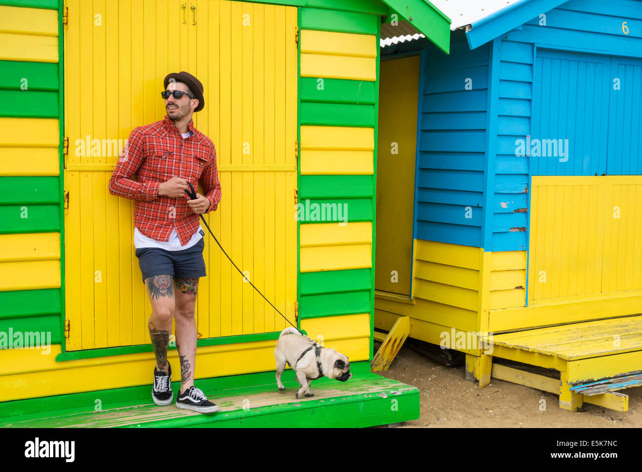 Melbourne dog dogs hires stock photography and images Alamy