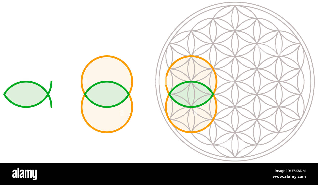 Vesica Piscis in Flower of Life - Vesica Piscis shape can be derived from Flower of Life. Bladder of a fish in Latin. Stock Photo