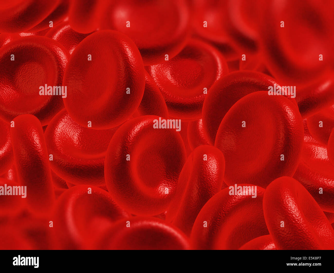 Illustration of human blood cells - 3d render Stock Photo