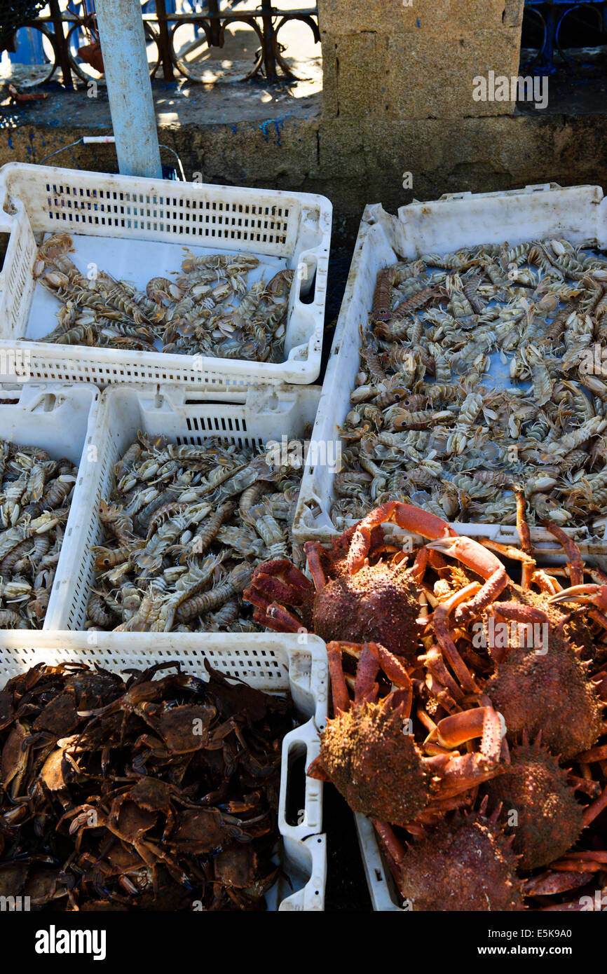 Very Busy Fishing Port,Atlantic Coast,some 250 Species,Fish Caught daily,Fish Auctions,Major