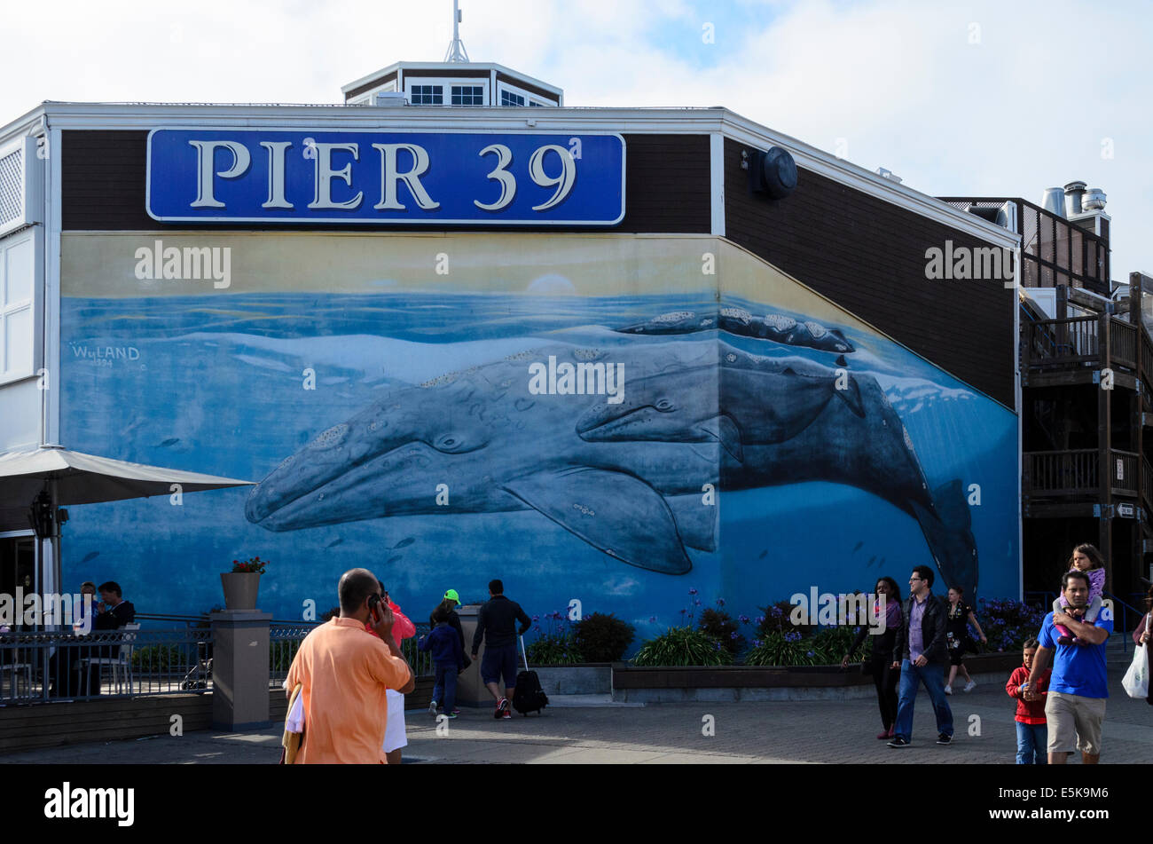 A Wyland painting of a whale at Pier 39 Fisherman s Wharf San