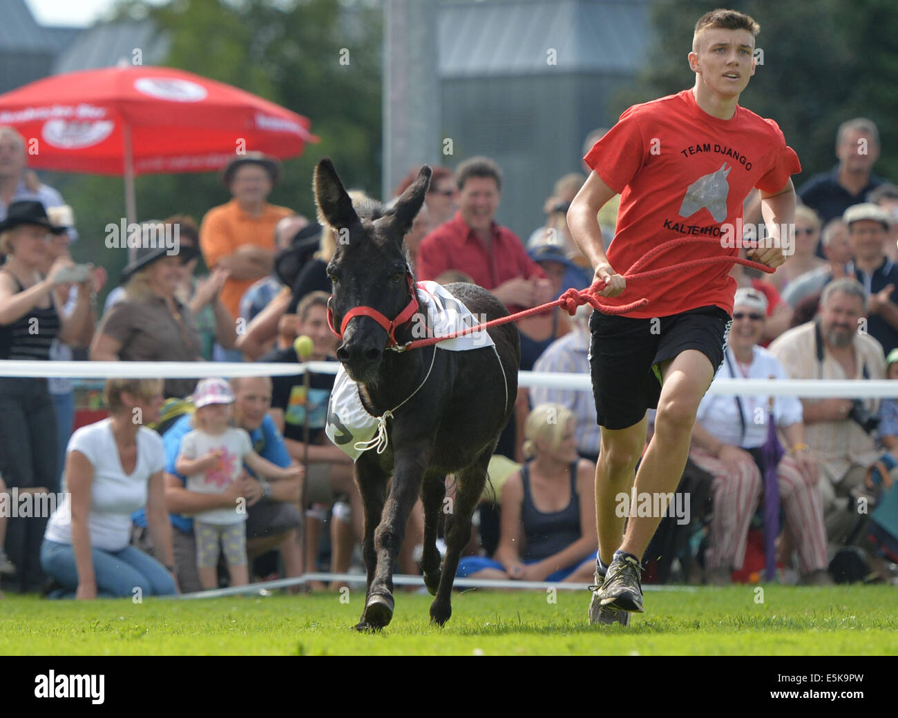 Donkey Race High Resolution Stock Photography and Images - Alamy