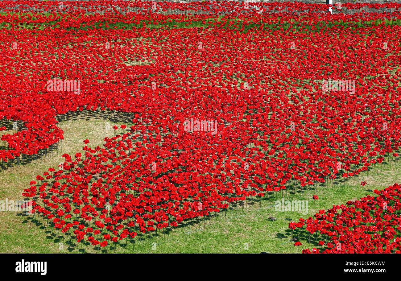 London, UK. 3rd August 2014. A sea of red ceramic poppies fill the moat of the Tower of London to commemorate the fallen of  WWI ahead of the 100th anniversary of the First World War in London, England.The artwork,  Blood Swept Lands and Seas of Red by Paul Cummins features thousands of ceramic poppies pouring into the moat will officially be unveiled on 5th August. Credit:  Paul Brown/Alamy Live News Stock Photo