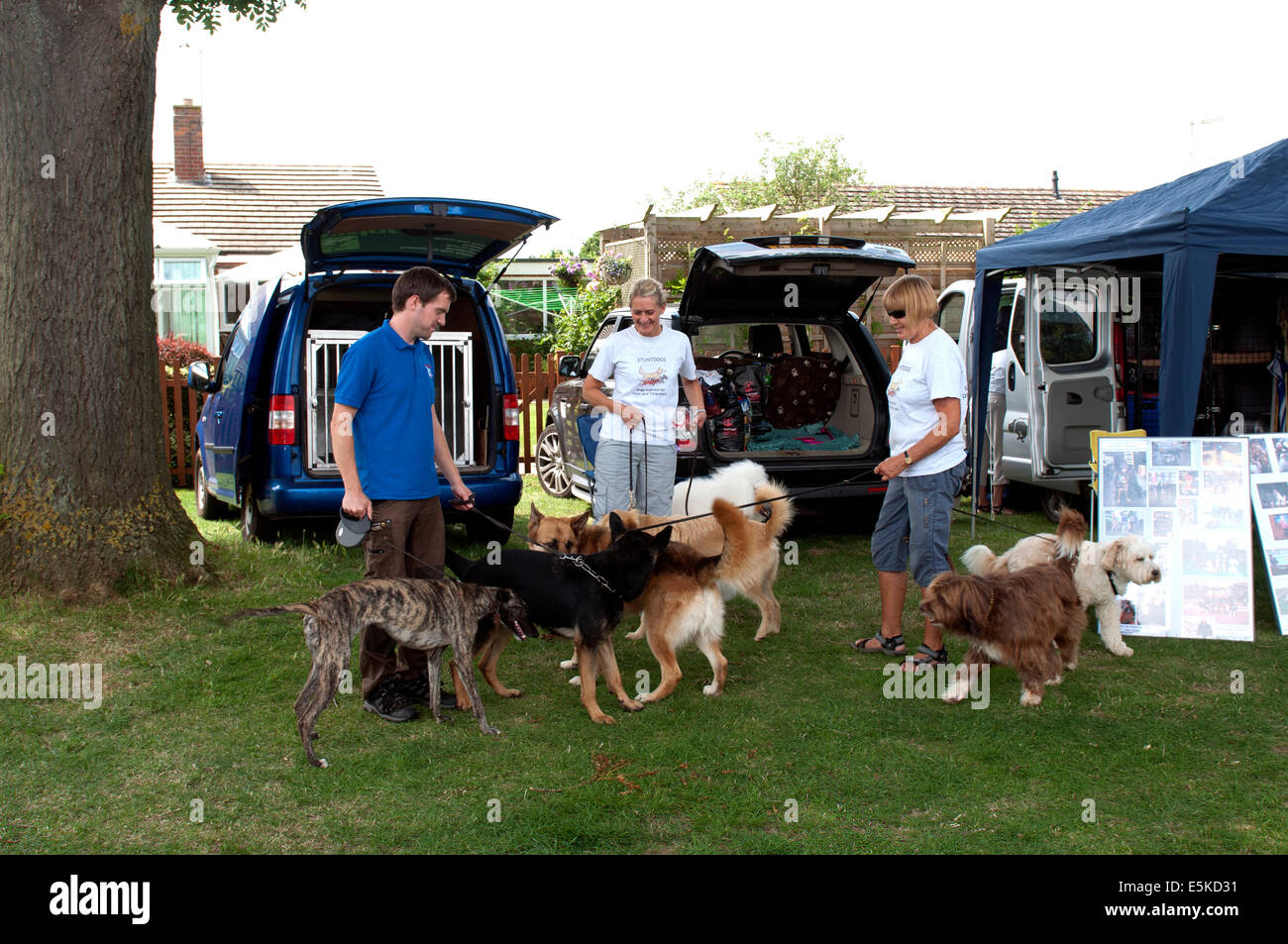 Stuntdogs at Badsey flower show, Worcestershire, England, UK Stock Photo