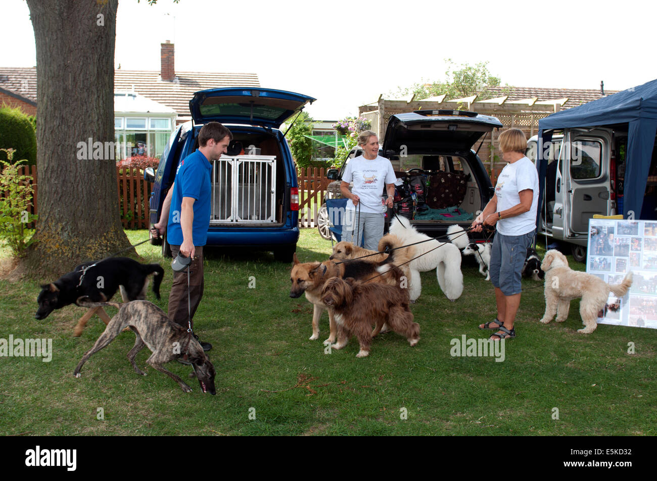 Stuntdogs at Badsey flower show, Worcestershire, England, UK Stock Photo