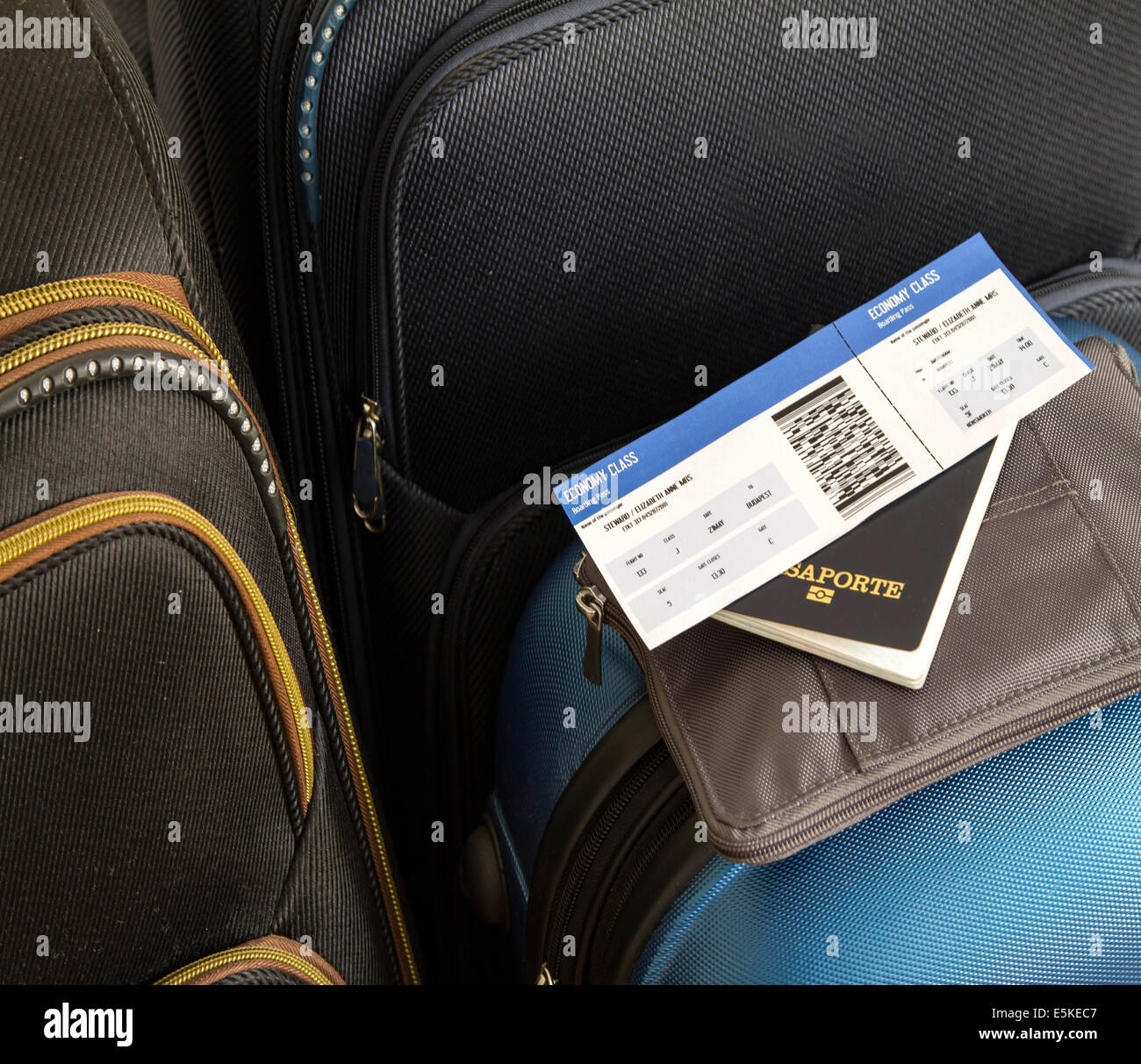 luggage to travel