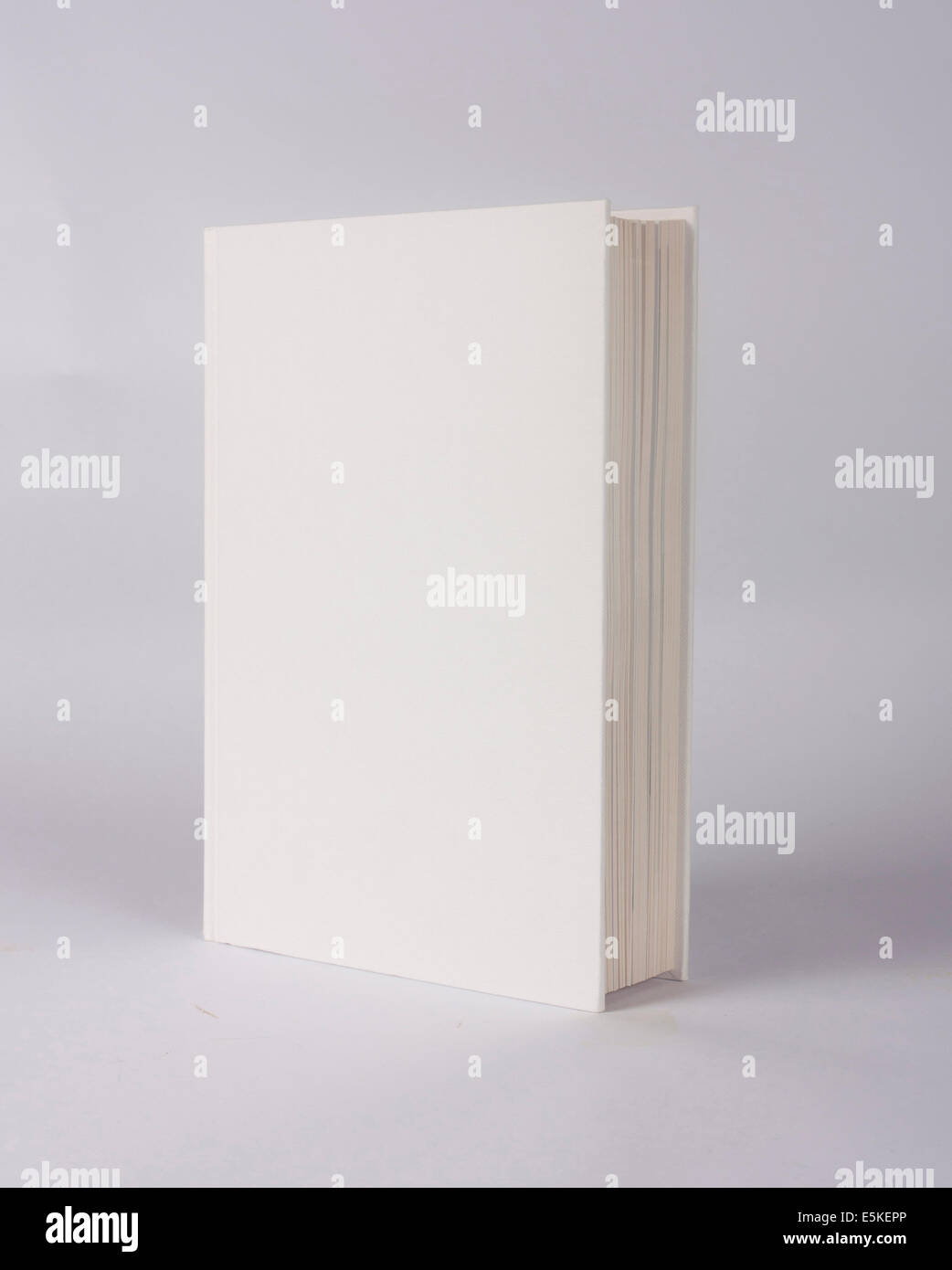 white book showing white front cover on a grey background Stock Photo