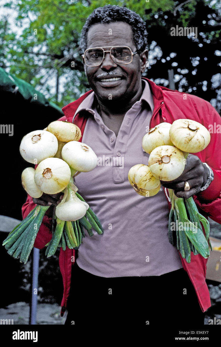 Home Grown Onions High Resolution Stock Photography and Images Alamy