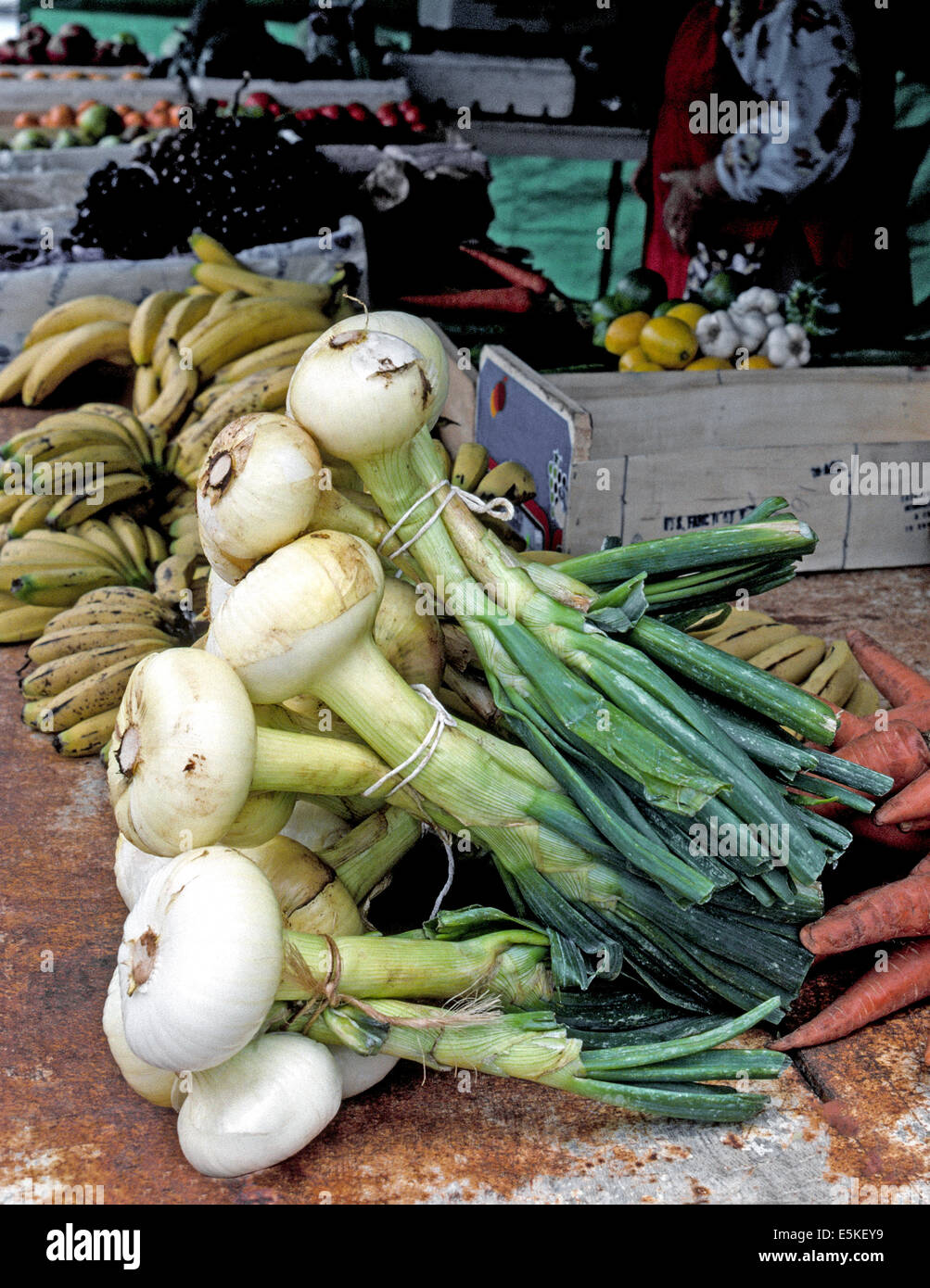 Bermuda onions hires stock photography and images Alamy