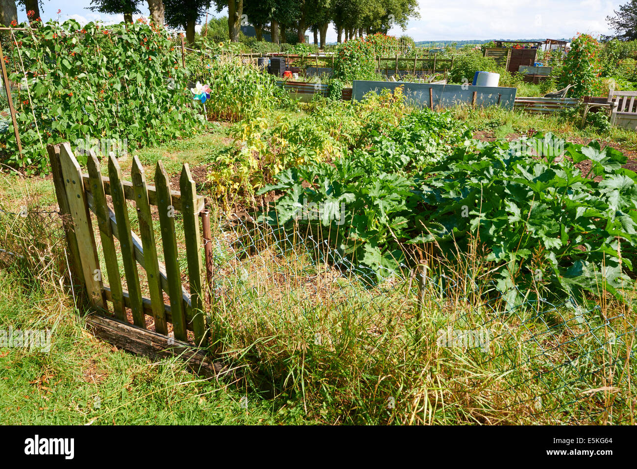 Entrance To An Allotment Ashlawn Road Rugby Warwickshire UK Stock Photo