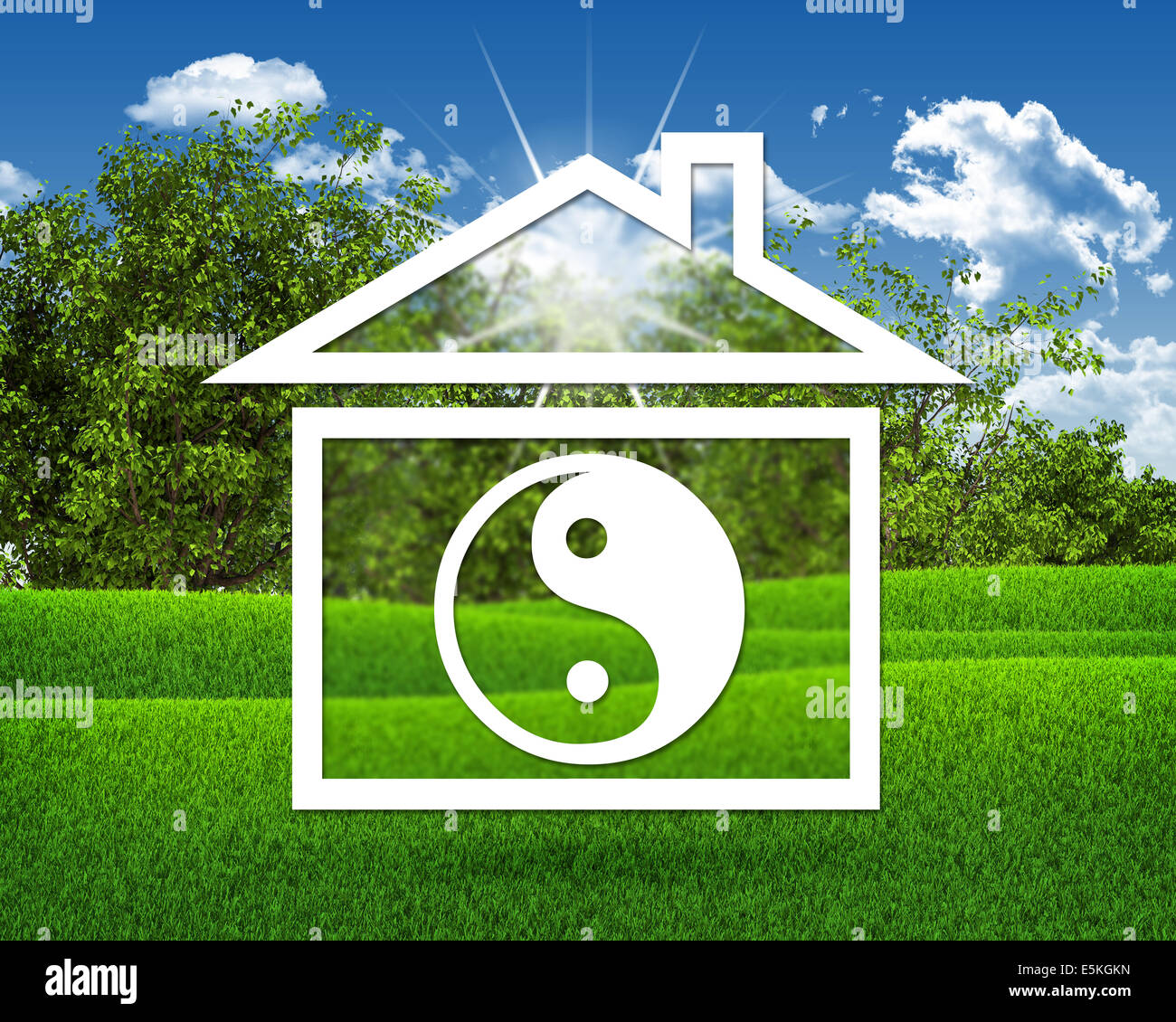 House icon with symbol of yinyang Stock Photo Alamy