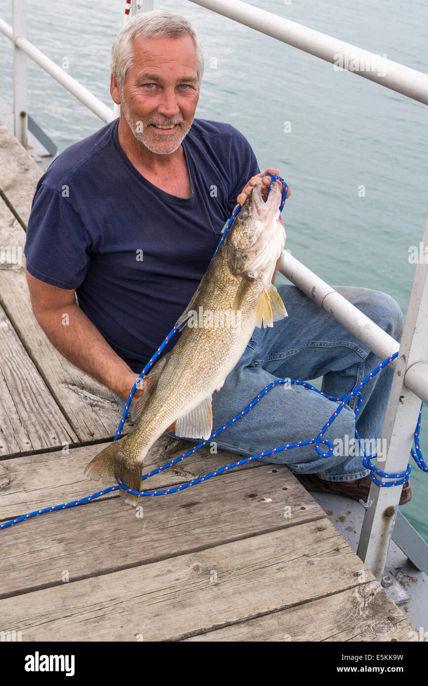 Captured Walleye Fish. A fisherman poses with his large walleye fish that he had recently caught in the St. Clair River. Stock Photo