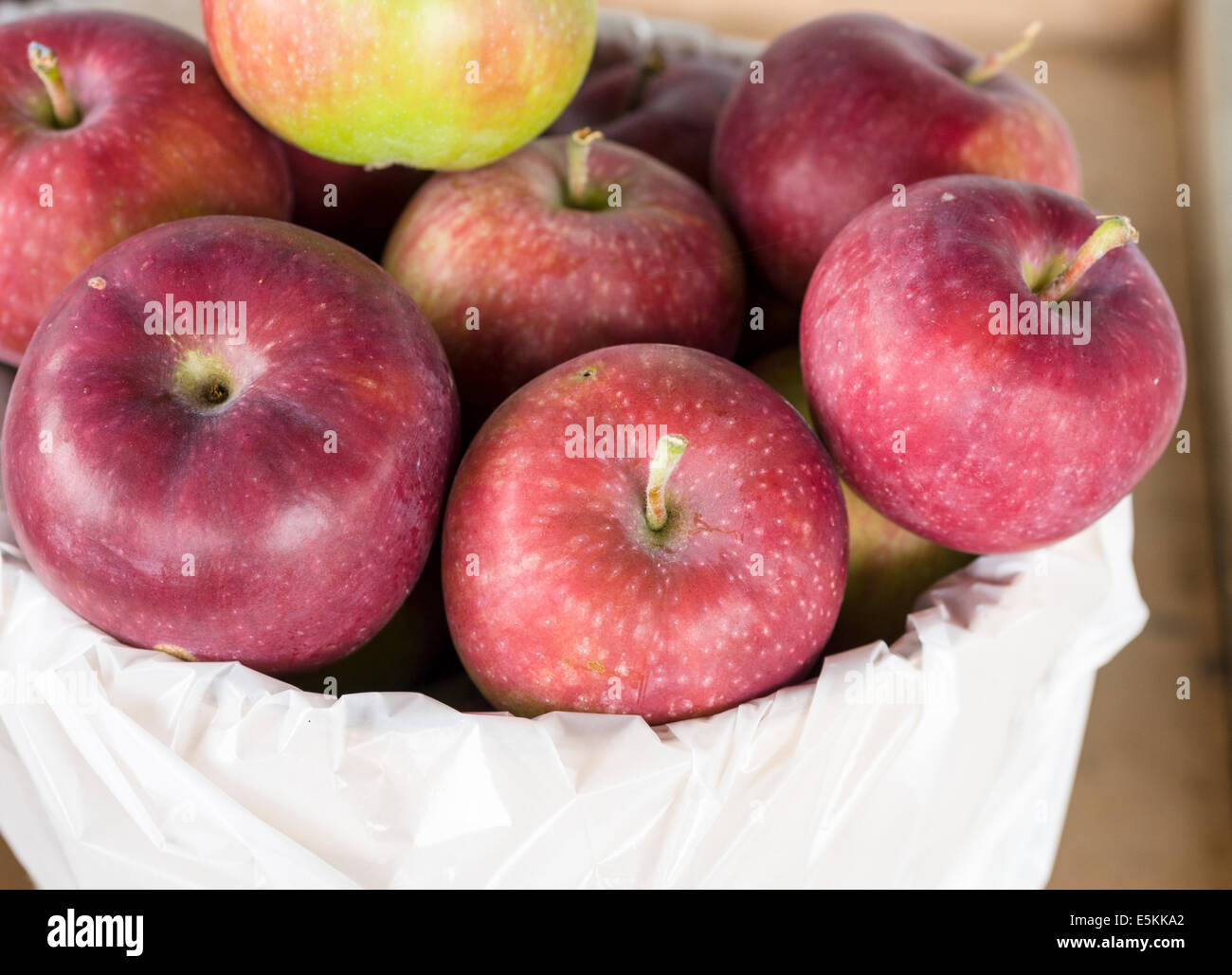 A small Basket of Ripe Fresh Apples. For sale at a Prince Edward County farm gate. Wapoose, Prince Edward County, Ontario, Canad Stock Photo