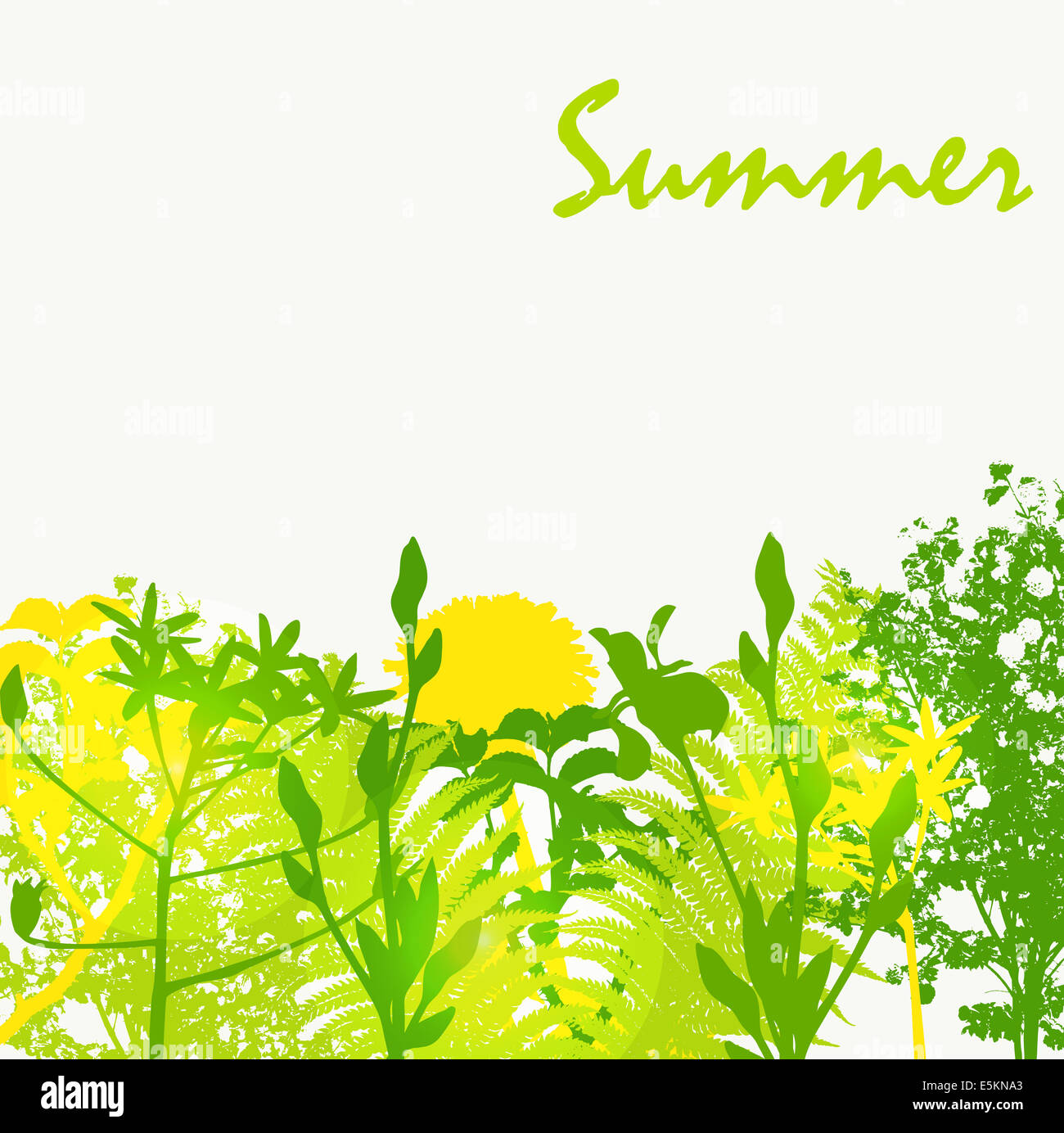 Abstract Summer Natural Background Vector Illustration Stock Photo - Alamy
