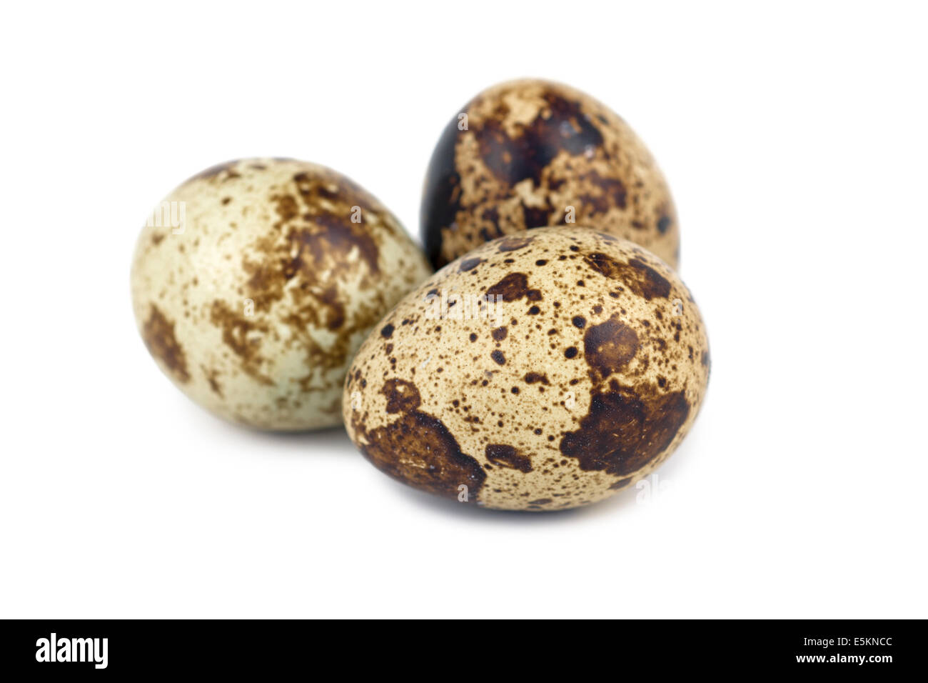 Quail Eggs, Quail Egg Stock Photo