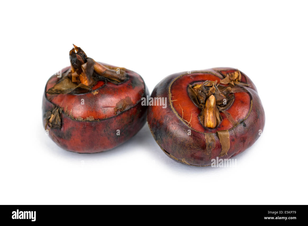 Water Chestnut, Chinese Water Chestnuts Stock Photo