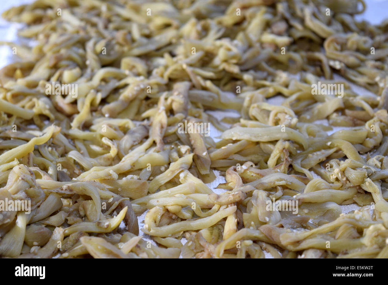eggplant to be preserved in jars under oil Stock Photo Alamy