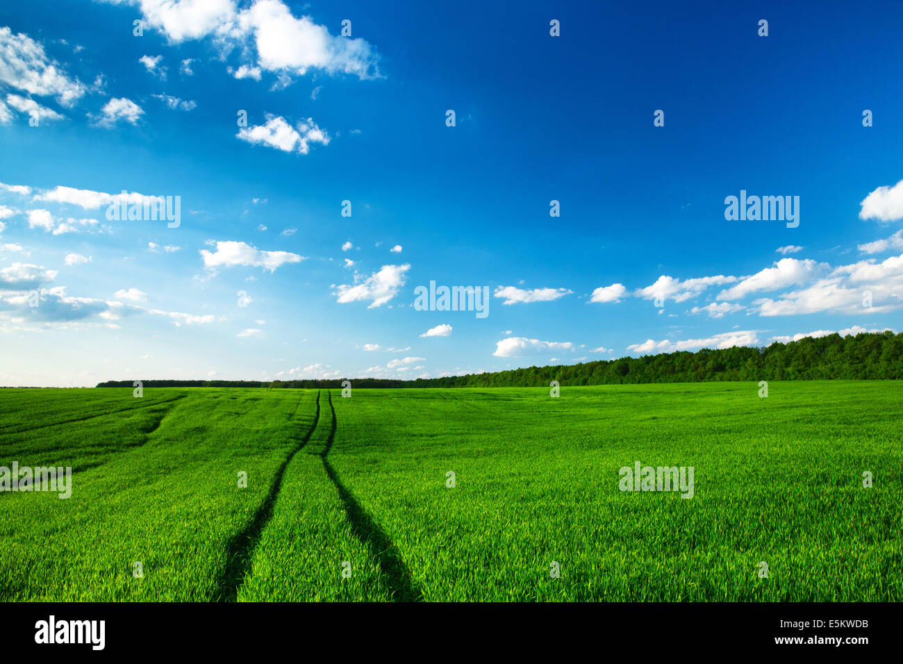 green field and blue sky Stock Photo - Alamy