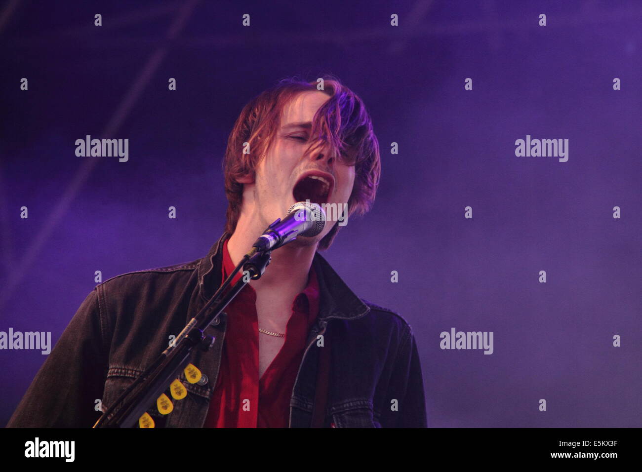 Peak District, Derbyshire, UK. 3 August 2014.  Alexander Chllli Jesson of the Palma Violets performs at the  Y Not festival  at Pikehall. Credit:  Deborah Vernon/Alamy Live News Stock Photo