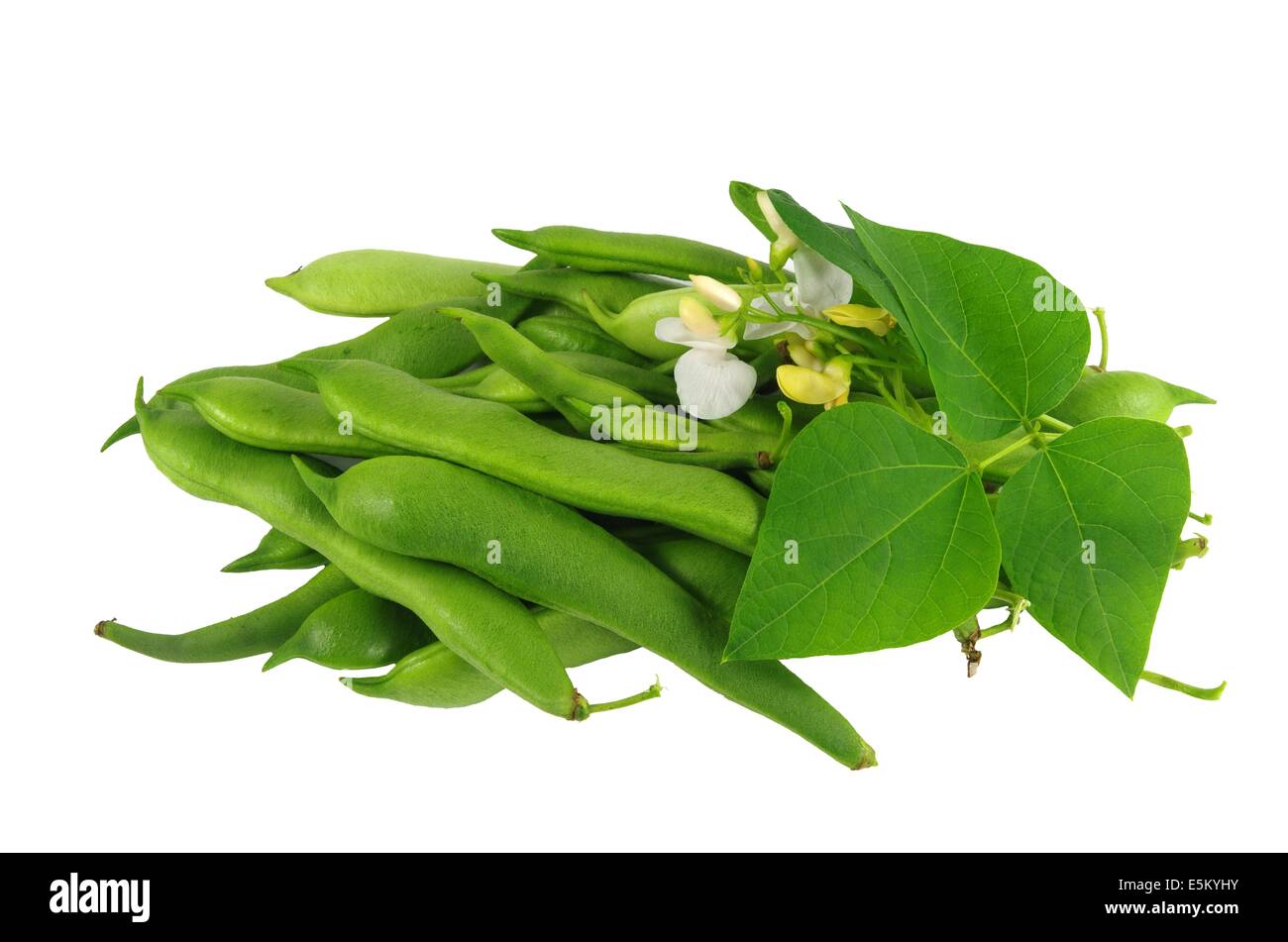 bean with flower and leaf on white background Stock Photo