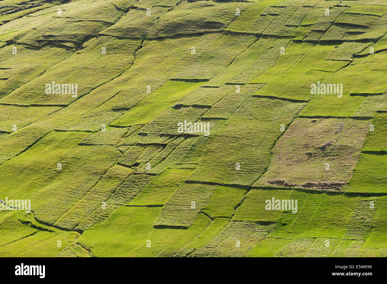 Parcels of land, fields, patchwork, Kvívík, Streymoy, Faroe Islands, Denmark Stock Photo