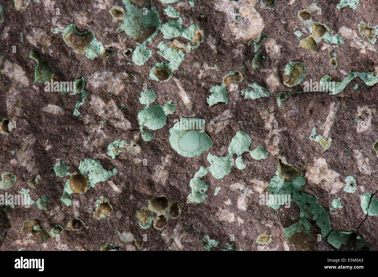Zeolite druses, minerals, Faroe Islands, Denmark Stock Photo