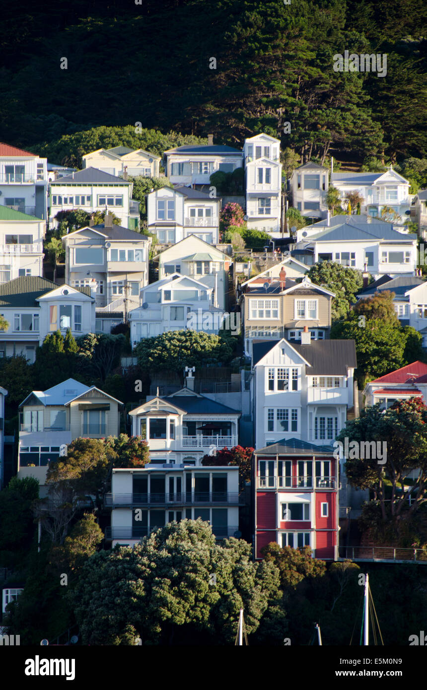 Houses on hillside, Mount Victoria, Wellington, North Island, New Zealand Stock Photo