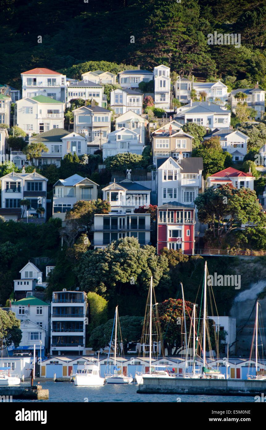 Houses on hillside above boat harbour, Mount Victoria, Wellington, North Island, New Zealand