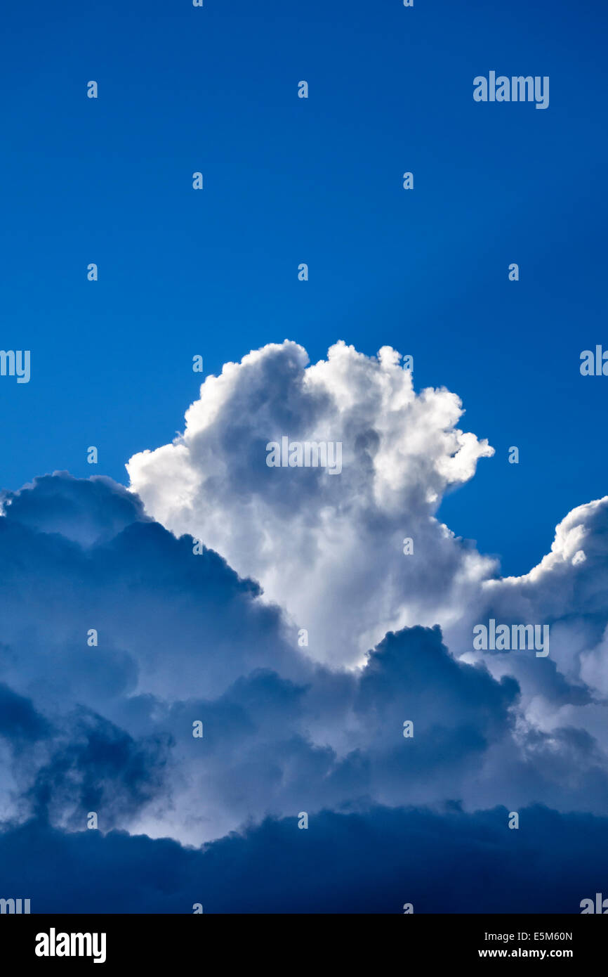 Dramatic backlit cumulonimbus clouds against a blue summer sky, UK Stock Photo