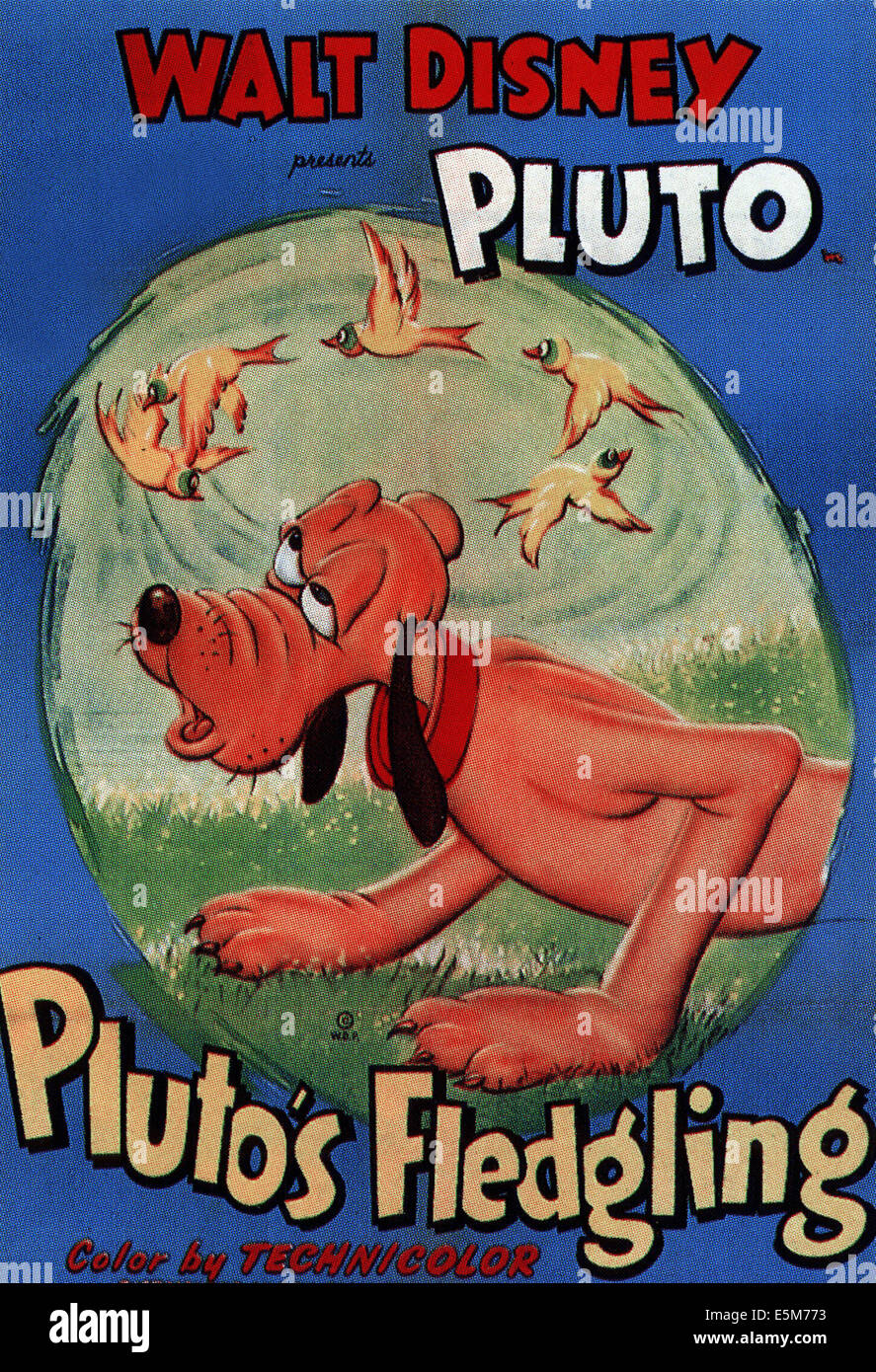 PLUTO'S FLEDGLING, poster art for Walt Disney animated short, Pluto, 1948 Stock Photo