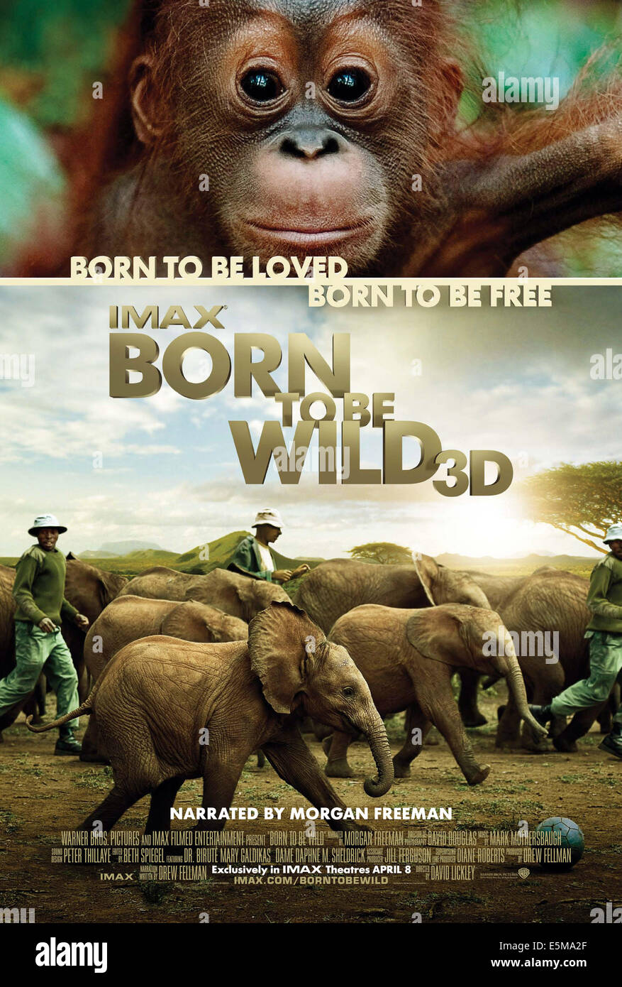 BORN TO BE WILD, US poster art, 2011, ©Warner Bros. Pictures/courtesy Everett Collection Stock Photo