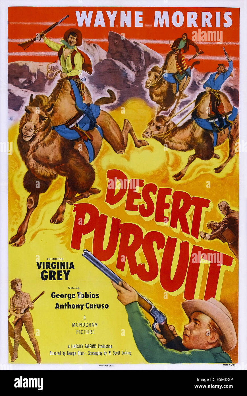 Wayne morris hires stock photography and images Alamy