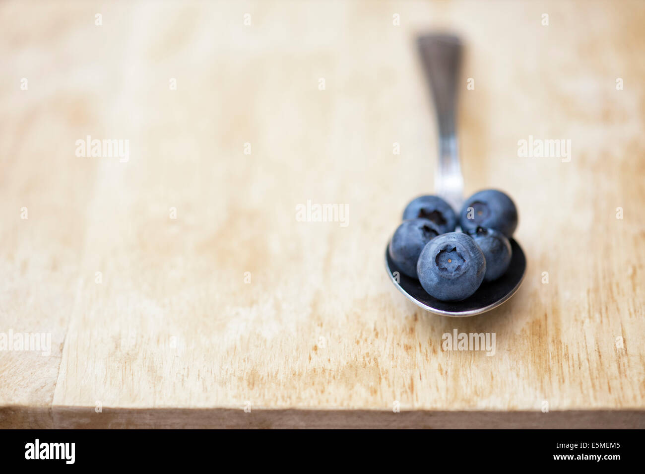 Vaccinium corymbosum. Picked Blueberry fruit on a spoon Stock Photo