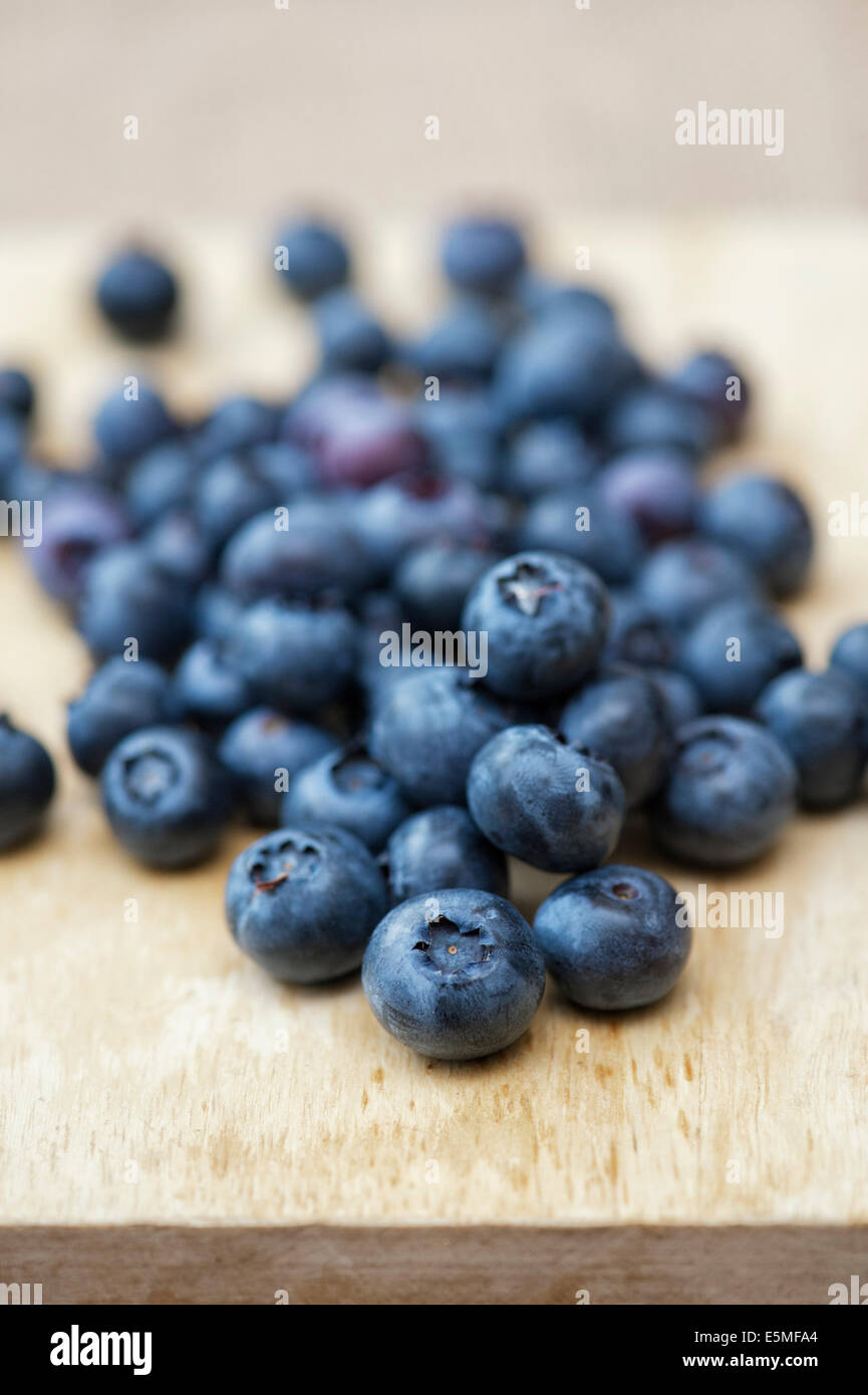 Vaccinium corymbosum. Picked Blueberry fruit on wood Stock Photo